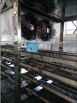 Fruit Juice Gummy Production Line