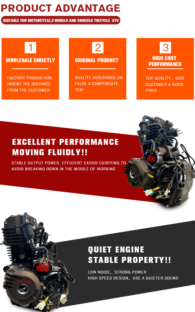 Fit ATV UTV Tricycle Motorcycle Engine Assembly for DAYANG LF 300cc Water Cooled