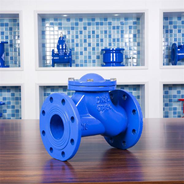 BS5153 Ductile Iron Check Valve Flexible Disc PN16 Cast Iron Swing Check Valve