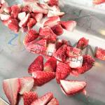 Food Fruit And Vegetable Slices Freeze Drying Machine Vacuum Freeze-drying