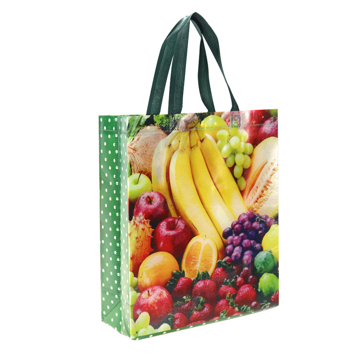 Customized PP Shopping Non Woven Bag