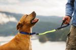 Heavy Duty LED Reflective Dog Leash Night Safety Lighted Nylon Webbing