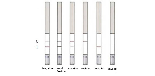 Aflatoxin M1 Food Safety Rapid Test Kit 96 Tests/Kit For Milk