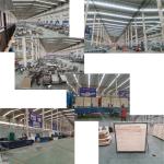 Customized Capacity Frozen French Fries Production Line for Agriculture Food