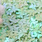 Face and Body Chunky Glitter Mixed Color Small Butterfly Sequin for Nail Beauty