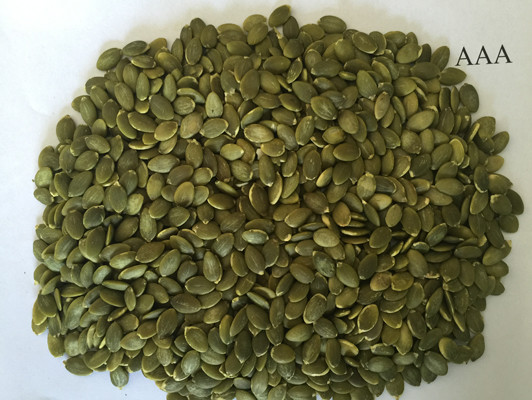 OEM Dried Food Green AA Grade Raw Pumpkin Kernel