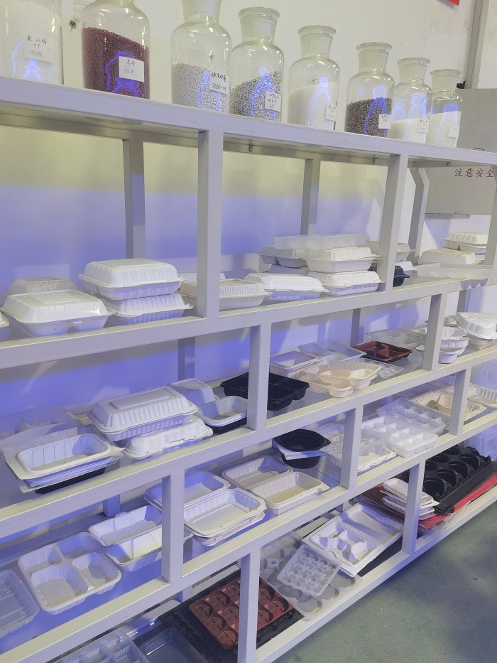 Compostable Blister Forming Machine Container Disposable Food Packaging Machine