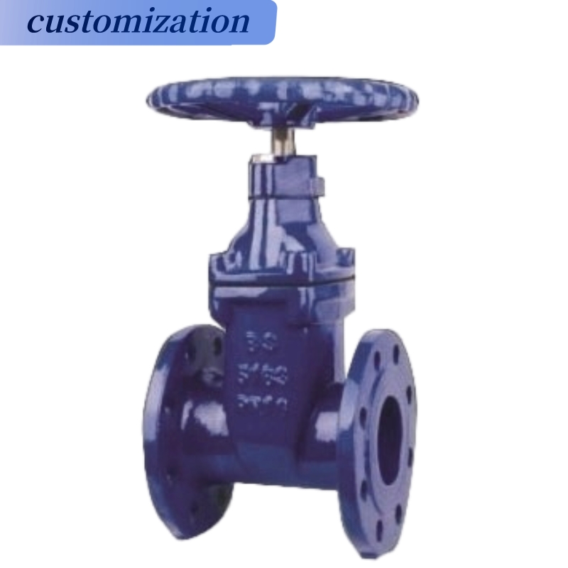 Customized ANSI PN16 80mm 100mm 200mm Manual Cast Iron Flanged Type Gate Sluice Valve