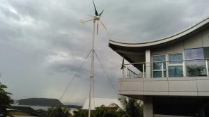 Wholesale Renewable Energy Wind Turbine Generator System 1000W 24 / 48V For Home from china suppliers