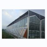Hot Galvanized Steel Frame Structure Venlo Glass Greenhouses for Vegetable