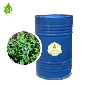 Wholesale Antioxidant 100% Pure Organic Thyme Essential Oil Cas 8007-46-3 from china suppliers