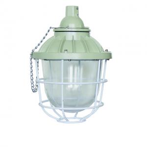 Wholesale LED Explosion Proof HID Lamp 200W 400W Hazardous Area from china suppliers