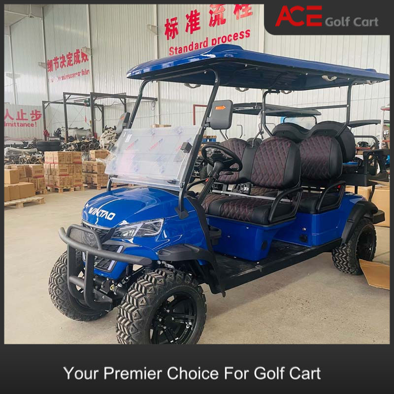 6 Passengers Road Legal Buggy Electric Sightseeing Golf Cart