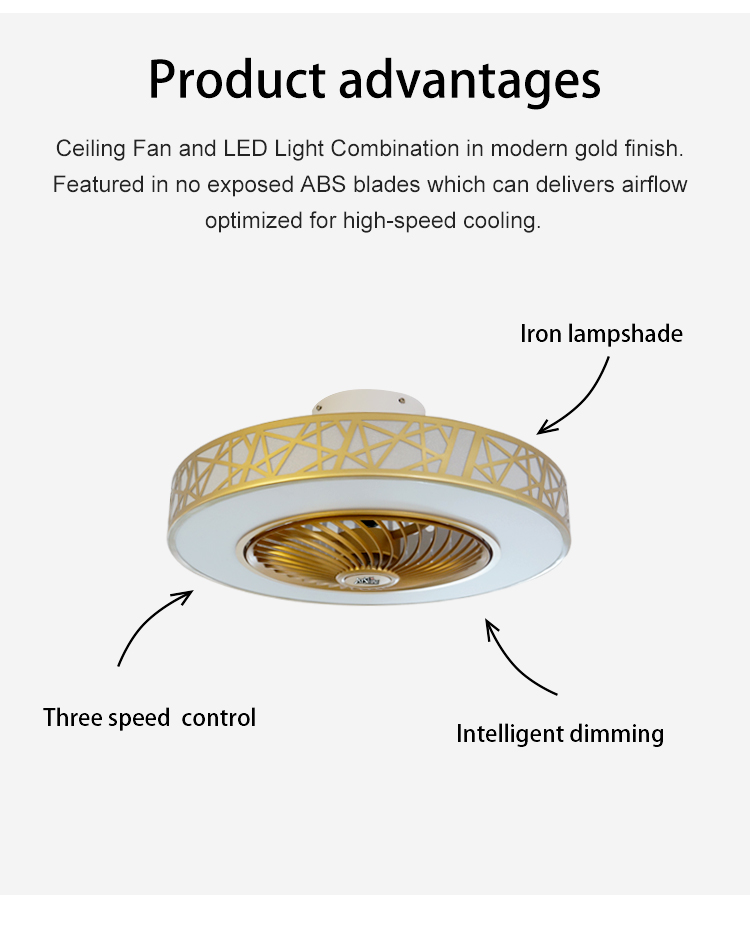 20 inch LED Light Ceiling Fan with Remote Control Switch Style and Wall Control