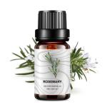 Medicine Organic Rosemary Essential Oil Hair 10ml Face And Body MSDS ODM