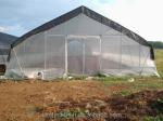 Cucumber Farming Small Agricultural Tunnel Greenhouse with Galvanized Steel