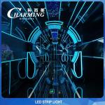 Flexible RGB LED Strip Light 298LM SMD3528 Outdoor And Indoor Decoration