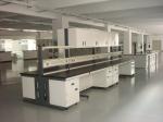 Acid Resistance Lab Tables Work Benches For Pharmaceuticals Company