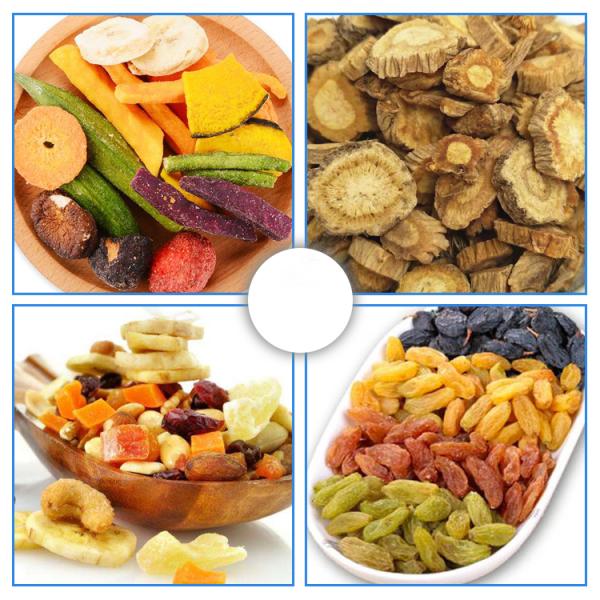 Small Fruit And Vegetable Freeze Drying Machine With Automatic Vacuum