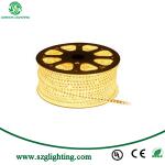 IP65 Waterproof 12V RGB LED Strip Light