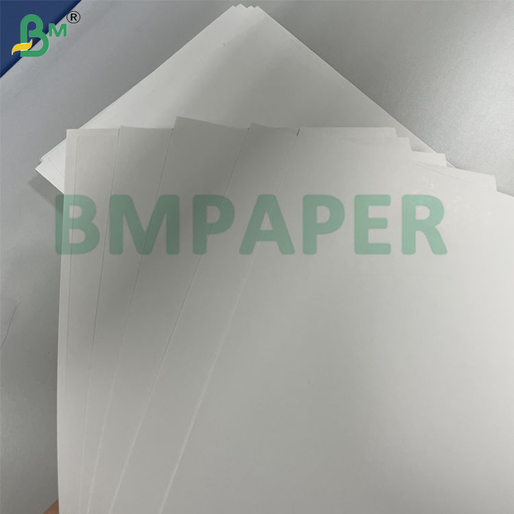 215g 235g Food Safety One Side Coated Food Board For Food Packaging
