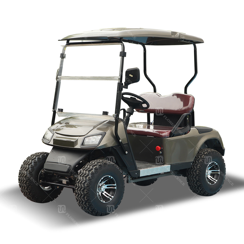 60V 72V EV Golf Cart Street Legal Electric Carts For Golf Course Driving Range And Resort