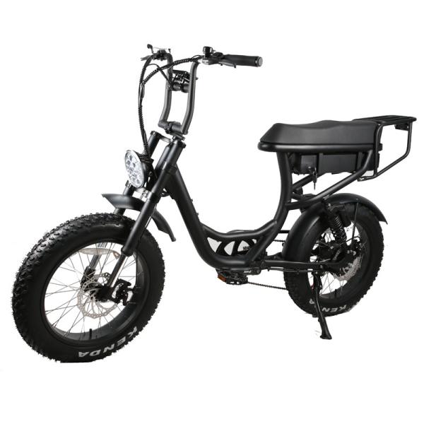 Adult Customized Color Vintage Electric Bike with 7 Speed Gears Step Through Fat