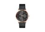 Interchangeable Strap Stainless Steel Quartz Dress Watch SS Back Cover