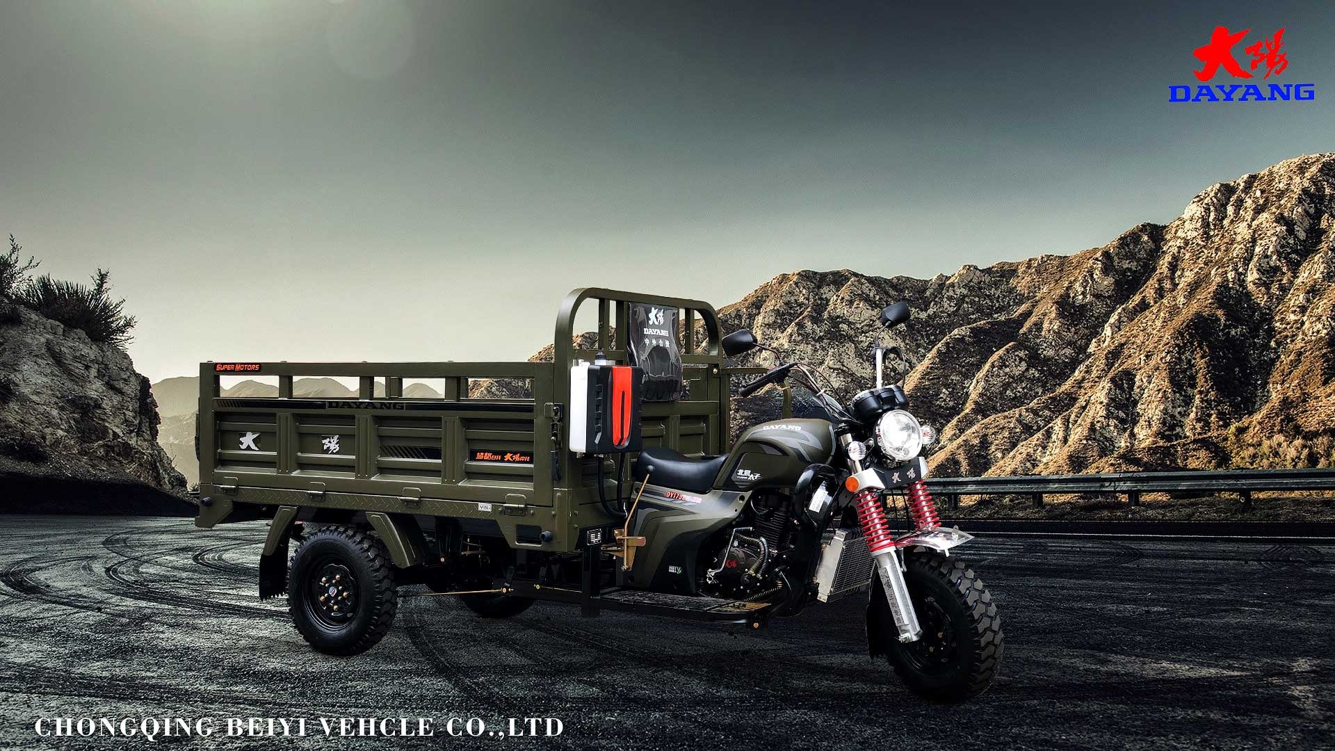 DAYANG Motorized Tricycle Cargo Tricycle Three Wheel Motorcycle with 12V Battery System