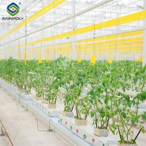 Wholesale Galvanized Frame Single Span Tunnel Greenhouse Plastic Shed For Vegetables from china suppliers