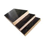 12mm Poplar Phenolic Faced Plywood For Building Construction