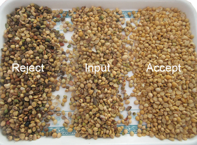 High Output Farmland Automatic Haricot Navy Beans Color Sorter Popular in the USA