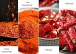 Authentic 4-7cm Dried Hot Tianjin Chilli Peppers Low Impurity Packed in Bags of
