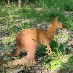 Rust-Resistant Metal Garden Ornaments For Garden Decoration Corten Steel
