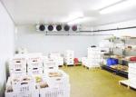 Copeland Compressor Cold Storage Room For Meat Seafood Processing 1 Year