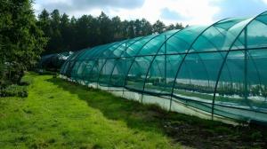 Wholesale Customizable Weather Resistant HDPE Shade Cloth Net For Agricultural Sun Protection from china suppliers