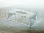 Organic glass tissue box（19）