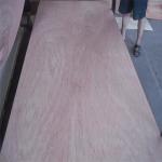Commercial BB CC Grade 1220*2440*18mm Bintangor Plywood
