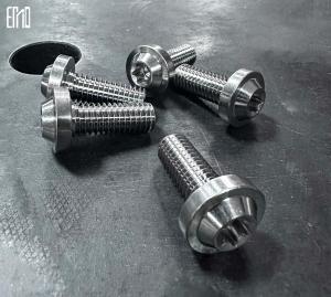 Wholesale INCA Titanium Alloy Screws Ten Pieces MOC For Breakout / Softail Series（For Rear Disc） from china suppliers