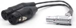 Straight Input Camera Audio Cable 10 Pin To XLR 3 Pin Female ODM