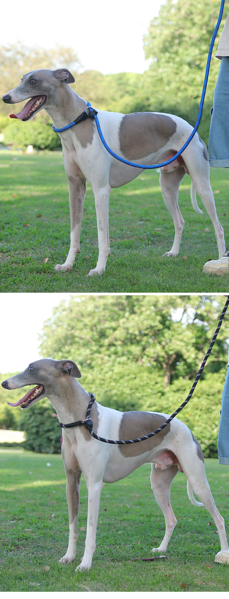 Pet Explosion-Proof P Chain Leash Dog Reflective Breathable Integrated Dog Leash