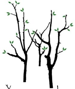 Wholesale Novelty Nontoxic Classic PVC Decoration Tree Wall Sticker F015 from china suppliers