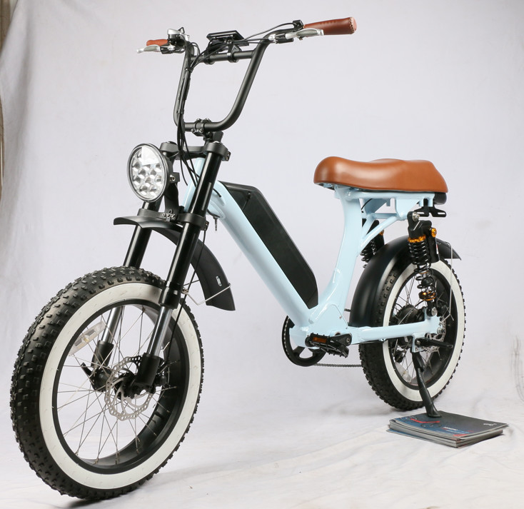 48V 500W 2022 Electric Fat Tire Bike, new design, fat tire, powerful 8 fun motor, both suspension