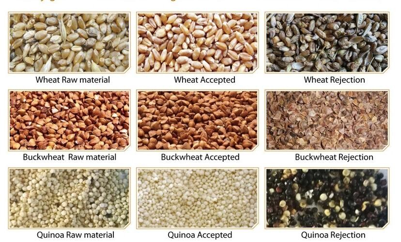 Factory Direct Selling Low Sumption High Capacity Wheat Grain Color Sorter Machine