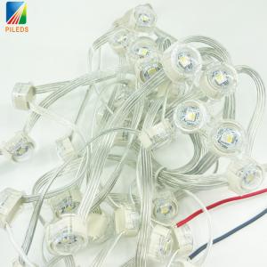 Wholesale IP67 Anti-Cold UV SK6812 DMX 20MM RGBW Pixel LED Light For Outdoor LED Screen Christmas Plastic Material from china suppliers