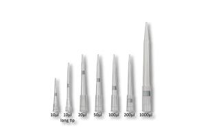 Wholesale Medical Device Molding Ultra Precise Multi Cavity Micropipette Molds plastic injection moulding Australia from china suppliers