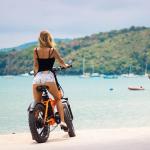 20 Inch 48v 500w Bafang Motor Folding Fat Tire Electric Bike With LCD display