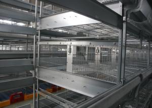 Wholesale Galvanized Industrial Open House Battery Cage System For Laying Hens from china suppliers