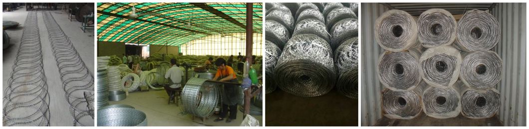 Galvanized Razor Barbed Wire Mesh Fencing