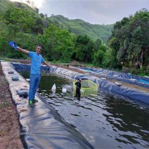Wholesale 0.75mm HDPE Geoembrane Waterproof Membrane for Aquaculture Fish and Shrimp Tank Liner from china suppliers
